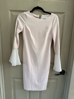 Calvin Klein Pale Blush Long-Sleeve Sheath Dress with Chiffon Bell Cuffs
